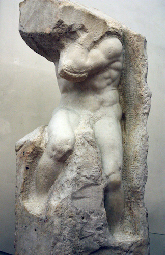 torso